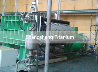 a electrolyzer system